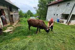 WhatsApp-Image-2023-07-28-at-22.22.56