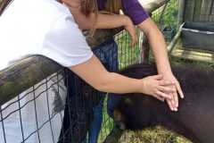 IMG-20240614-WA0015