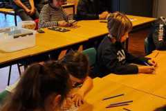 IMG-20240618-WA0050
