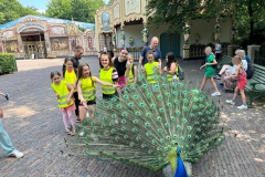 WhatsApp-Image-2023-06-21-at-21.12.39-13