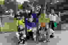 IMG-10c4782b60cffa31fccf84362c106674-V