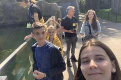 IMG-139648f09e666b3831fd462935001bd1-V