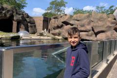 IMG-14794457768974174697674bc2fb8a80-V