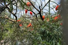IMG-20240613-WA0015