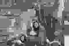 IMG-4aa3aa2bb76f751d6bcb50f97c5e684a-V