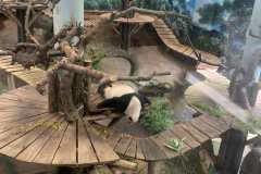 IMG-75583ed8be4f57f622332215f0eb9b9d-V