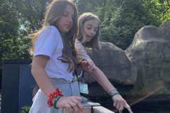 IMG-797cc66fb389c66f31d9f119262d7ebc-V