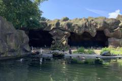 IMG-855cc67ab03e8c5ff135c227f04e3bf8-V