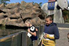 IMG-b24d69828df4fda4c665efef798cc604-V