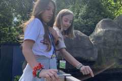 IMG-ceef2fbd170bf241833511ad7e8a04e9-V