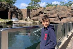 IMG-d35475abb0c99367984a36ee9bf4cdbb-V