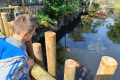 IMG20240613105018