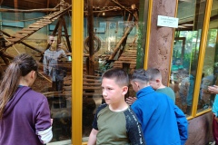 IMG20240613105309