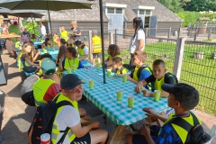 IMG20250619102010