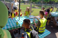 IMG20250619102043