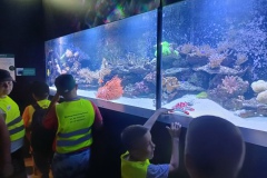 IMG20250619113447