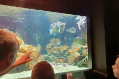 IMG20250619113555