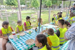 IMG20250619124437