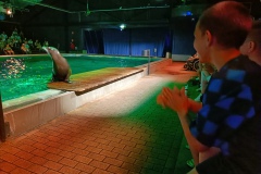 IMG20250619143817