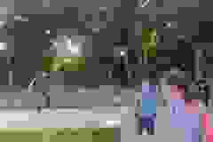 IMG-0cb86be75231a9c2fa4c35d4ffe1bf99-V