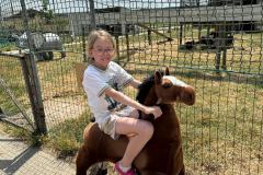 WhatsApp-Image-2023-06-15-at-16.58.48-1