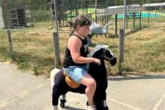 WhatsApp-Image-2023-06-15-at-16.58.48-2