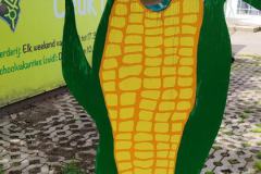 IMG-20240612-WA0010