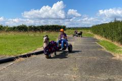 IMG-20240612-WA0059