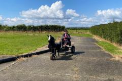 IMG-20240612-WA0060