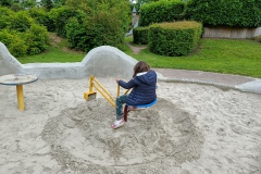 IMG20240616142054