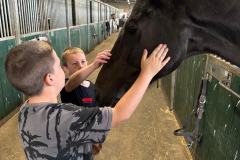 IMG-20250624-WA0091