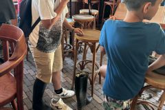 WhatsApp-Image-2026-06-18-at-10.03.29-2