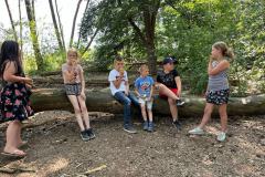 Ponyrijden bij de Diervoort 2023