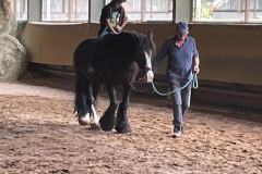 WhatsApp-Image-2023-06-19-at-16.42.50-14