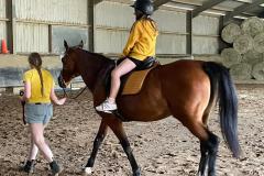 WhatsApp-Image-2023-06-19-at-16.42.50-4