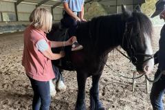 WhatsApp-Image-2023-06-19-at-16.44.25-27