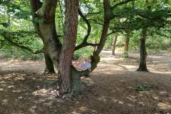 WhatsApp-Image-2023-06-19-at-16.51.25-1