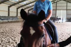 IMG-166596e1014a9f08c36a3a187444ca15-V