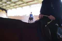 IMG-20240618-WA0013