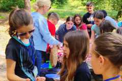 IMG-20240618-WA0026