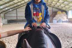 IMG-20240618-WA0034