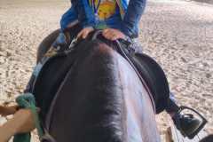 IMG-20240618-WA0036