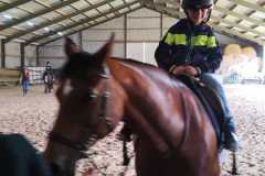 IMG-20240618-WA0044