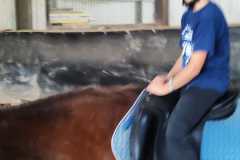 IMG-20240618-WA0054