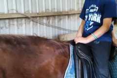 IMG-20240618-WA0057