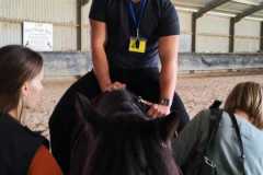IMG-20240618-WA0062