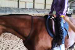 IMG-20240618-WA0091