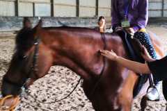 IMG-20240618-WA0093