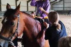 IMG-20240618-WA0097