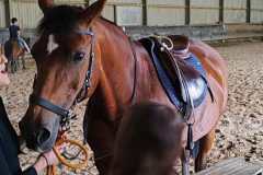 IMG-20240618-WA0098